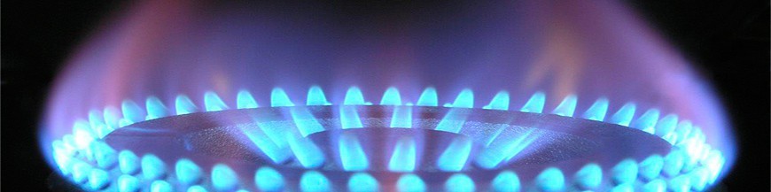 Cajas y Armarios para el sector del Gas